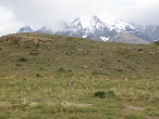 torres del paine